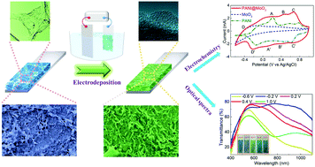 Graphical abstract: Three dimensional molybdenum oxide/polyaniline hybrid nanosheet networks with outstanding optical and electrochemical properties