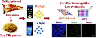 Graphical abstract: Physicochemical properties and cytotoxicity of carbon dots in grilled fish