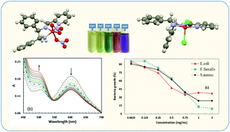 Graphical abstract: Synthesis, characterization, crystal structure, electrochemical, solvatochromic and biological investigation of novel N4 and N3 type Cu(ii) Schiff base complexes