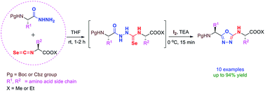 Graphical abstract: Facile one-pot synthesis of 2-amino-1,3,4-oxadiazole tethered peptidomimetics by molecular-iodine-mediated cyclodeselenization