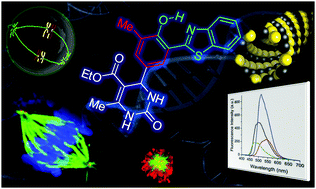 Graphical abstract: Synthesis and photophysical study of new fluorescent proton transfer dihydropyrimidinone hybrids as potential candidates for molecular probes