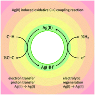 Graphical abstract: Reconnaissance of reactivity of an Ag(ii)SO4 one-electron oxidizer towards naphthalene derivatives