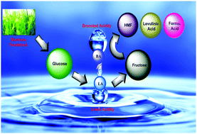 Graphical abstract: A structure–activity relationship study using DFT analysis of Bronsted–Lewis acidic ionic liquids and synergistic effect of dual acidity in one-pot conversion of glucose to value-added chemicals