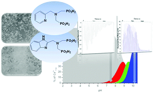 Graphical abstract: New aspects of coordination chemistry and biological activity of NTMP-related diphosphonates containing a heterocyclic ring