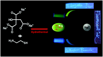 Graphical abstract: Development of N and S heteroatom co-doped stable dual emitting carbon ink in aqueous media for sensing applications