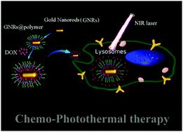 Graphical abstract: Chemo-photothermal therapy of cancer cells using gold nanorod-cored stimuli-responsive triblock copolymer