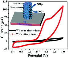 Graphical abstract: Fabrication of a robust and highly sensitive nitrate biosensor based on directly grown zinc oxide nanorods on a silver electrode