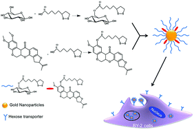 Graphical abstract: Enhanced intracellular uptake in vitro by glucose-functionalized nanopesticides