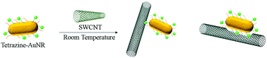 Graphical abstract: Single wall carbon nanotube (SWCNT)–gold nanorod (AuNR) conjugates via thermally-mild reaction conditions