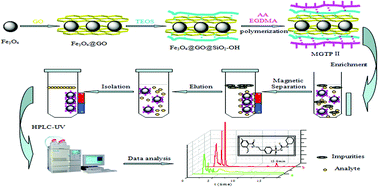 Graphical abstract: Synthesis and absorption performance of core–shell magnetic polymers for solid phase extraction and detection of glibenclamide in hypoglycemic health products