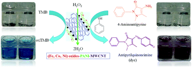 Graphical abstract: Preparation and physico-biochemical characterization of (Fe‚ Co‚ Ni) oxide nanoparticles-decorated PANI–MWCNTs as peroxidase mimetics