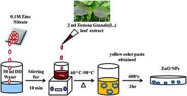 zno nanoparticles thesis