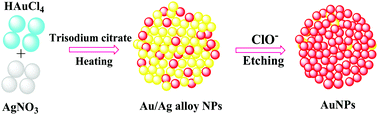 Graphical abstract: Visual and optical detection of hypochlorite in water samples based on etching of gold/silver alloy nanoparticles