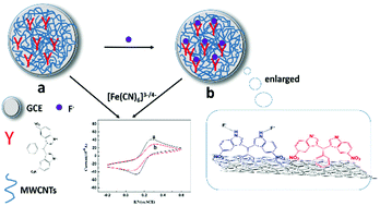 Graphical abstract: Construction of a selective electrochemical sensing solid–liquid interface for the selective detection of fluoride ion in water with bis(indolyl)methane-functionalized multi-walled carbon nanotubes