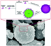 Graphical abstract: Microstructure regulation of microencapsulated bio-based n-dodecanol as phase change materials via in situ polymerization