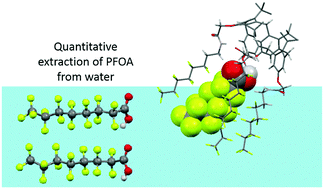 Graphical abstract: A rationally designed perfluorinated host for the extraction of PFOA from water utilising non-covalent interactions