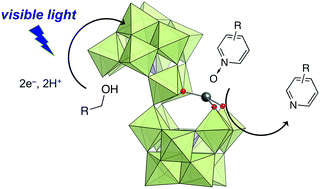 Graphical abstract: Visible-light-responsive catalysis of a zinc-introduced lacunary disilicoicosatungstate for the deoxygenation of pyridine N-oxides