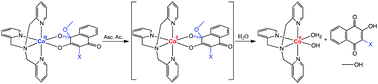 Graphical abstract: Investigation of cobalt(iii)–TPA complexes as potential bioreductively activated carriers for naphthoquinone-based drugs