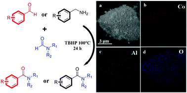 Graphical abstract: Oxidative amidation of benzaldehydes and benzylamines with N-substituted formamides over a Co/Al hydrotalcite-derived catalyst