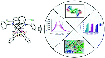 Graphical abstract: A saccharinate-bridged palladacyclic dimer with a Pd–Pd bond: experimental and molecular docking studies of the interaction with DNA and BSA and in vitro cytotoxicity against human cancer cell lines