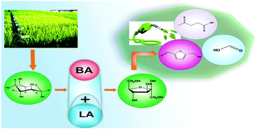 Graphical abstract: Hydrothermal conversion of glucose to levulinic acid using multifunctional ionic liquids: effects of metal ion co-catalysts on the product yield