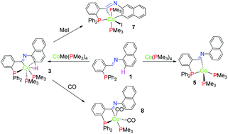 Graphical abstract: Phosphine-assisted C–H bond activation in Schiff bases and formation of novel organo cobalt complexes bearing Schiff base ligands