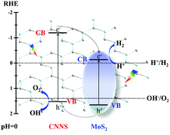 Graphical abstract: In situ ion exchange synthesis of MoS2/g-C3N4 heterojunctions for highly efficient hydrogen production