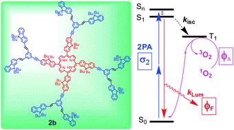 Graphical abstract: New porphyrin-based dendrimers with alkene linked fluorenyl antennae for optics