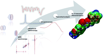 Graphical abstract: Theoretical and experimental characterization of 1,4-N⋯S σ-hole intramolecular interactions in bioactive N-acylhydrazone derivatives