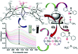 Graphical abstract: Oxygen atom transfer between DMSO and benzoin catalyzed by cis-dioxidomolybdenum(vi) complexes of tetradentate Mannich bases