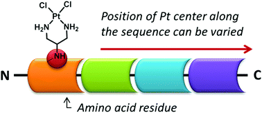 Graphical abstract: Serine- and threonine-derived diamine equivalents for site-specific incorporation of platinum centers in peptides, and the anticancer potential of these conjugates