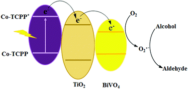 Graphical abstract: A porphyrin cobalt(ii) complex linked to a TiO2/BiVO4 nanocomposite: alcohol oxidation using nanohybrid materials as a photocatalyst via a mechanism approach