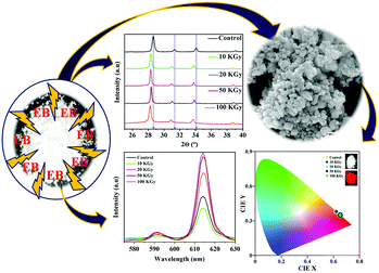 Graphical abstract: Enhanced red luminescence and improved crystallinity in NaEu(WO4)2 phosphors: an electron beam irradiation study