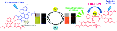 Graphical abstract: Colorimetric and fluorescent sensing of a new FRET system via [5]helicene and rhodamine 6G for Hg2+ detection