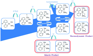 Graphical abstract: An in-depth investigation on the C–I bond activation by rollover cycloplatinated(ii) complexes bearing monodentate phosphane ligands: kinetic and kinetic isotope effect