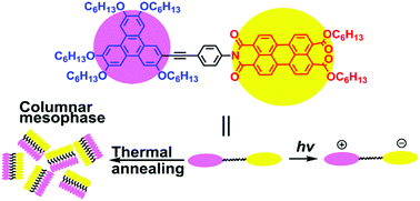 Graphical abstract: Synthesis and investigation on optoelectronic properties of mesogenic triphenylene–perylene dyads linked by ethynylphenyl bridges