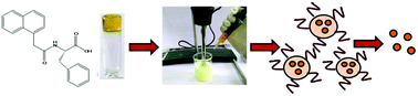 Graphical abstract: An auxin–tyrosine derivative based biocompatible supergelator: a template for fabrication of nanoparticles for sustained release of model drugs