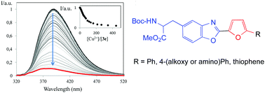 Graphical abstract: Heterocyclic amino acids as fluorescent reporters for transition metals: synthesis and evaluation of novel furyl-benzoxazol-5-yl-l-alanines