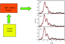 Graphical abstract: Structural investigations on uranium(vi) and thorium(iv) complexation with TBP and DHOA: a spectroscopic study