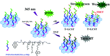 Graphical abstract: Preparation of a temperature-responsive block copolymer-anchored graphene oxide@ZnS NPs luminescent nanocomposite for selective detection of 2,4,6-trinitrotoluene