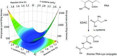 Graphical abstract: Synthesis of thiomers: screening and optimization using chemometrics