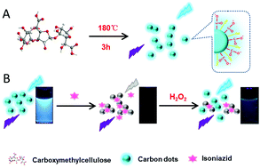 Graphical abstract: Carbon dots derived from carboxymethylcellulose for sensing isoniazid and H2O2
