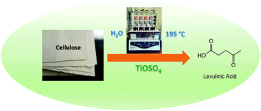 Graphical abstract: Exploring and exploiting different catalytic systems for the direct conversion of cellulose into levulinic acid