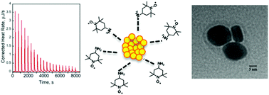 Graphical abstract: On the interactions of TEMPO radicals with gold nanostructures