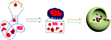 Graphical abstract: Fluorescent protein nanovessels packing DNA into a nucleosome-like gene carrier