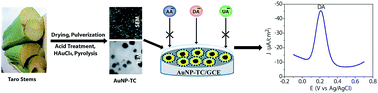 Graphical abstract: Pyrolytic preparation of gold nanoparticle-coated taro carbon and its application for the selective detection of dopamine
