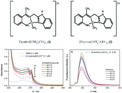 Graphical abstract: Comparative studies of Schiff base-copper(ii) and zinc(ii) complexes regarding their DNA binding ability and cytotoxicity against sarcoma cells