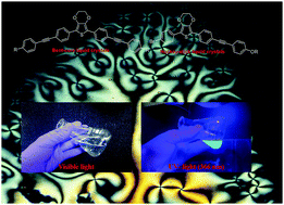 Graphical abstract: Thermal and nonlinear optical studies of newly synthesized EDOT based bent-core and hockey-stick like liquid crystals