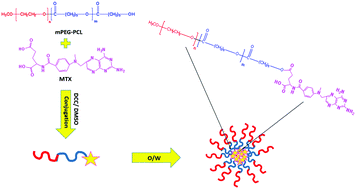 Graphical abstract: Methotrexate-conjugated mPEG–PCL copolymers: a novel approach for dual triggered drug delivery