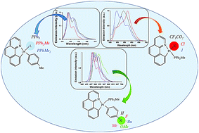 Graphical abstract: Influence of ancillary ligands on the photophysical properties of cyclometalated organoplatinum(ii) complexes